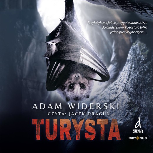 okładka Turysta audiobook | MP3 | Adam Widerski