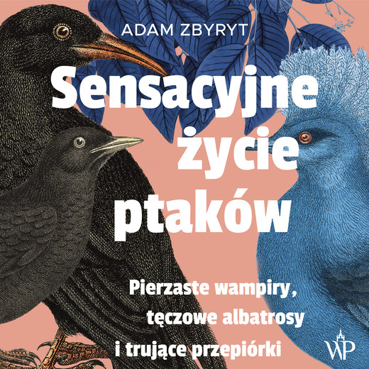 okładka Sensacyjne życie ptaków audiobook | MP3 | Adam Zbyryt