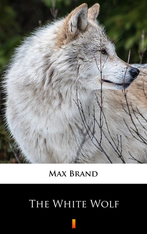 okładka The White Wolf ebook | epub, mobi | Max Brand