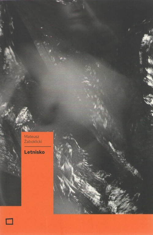 okładka Letnisko książka