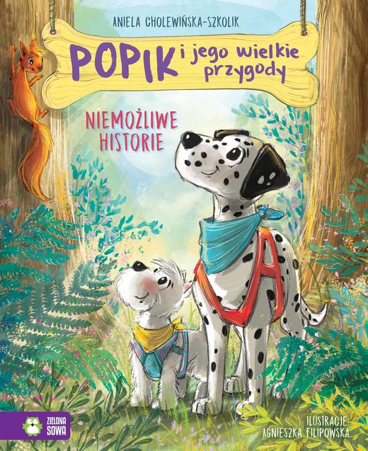 okładka Niemożliwe historie. Popik i jego wielkie przygody książka