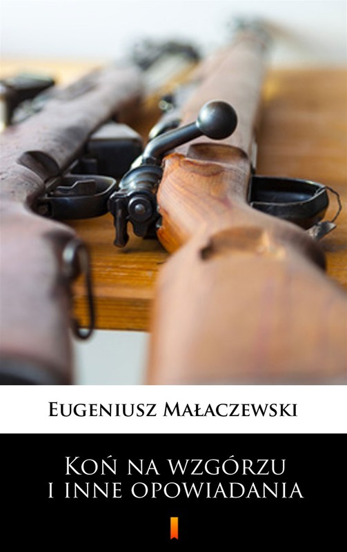 okładka Koń na wzgórzu i inne opowiadania ebook | epub, mobi | Eugeniusz Małaczewski