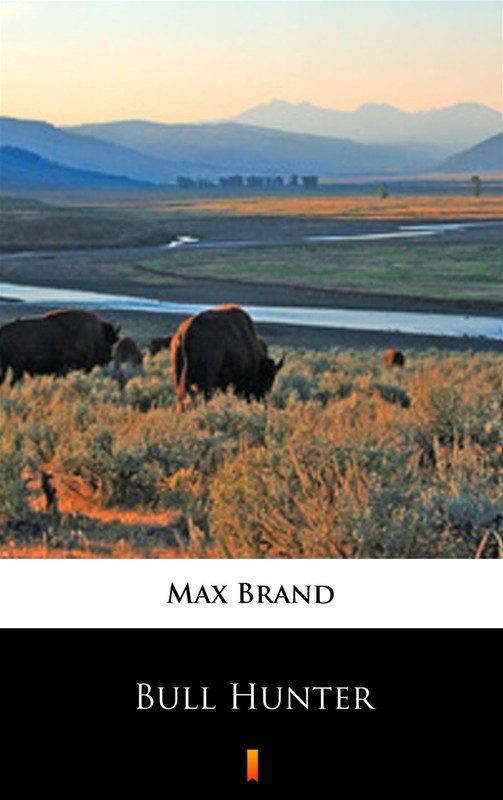 okładka Bull Hunter ebook | epub, mobi | Max Brand