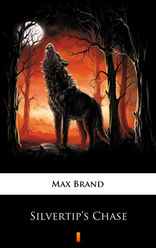 okładka Silvertip’s Chase ebook | epub, mobi | Max Brand