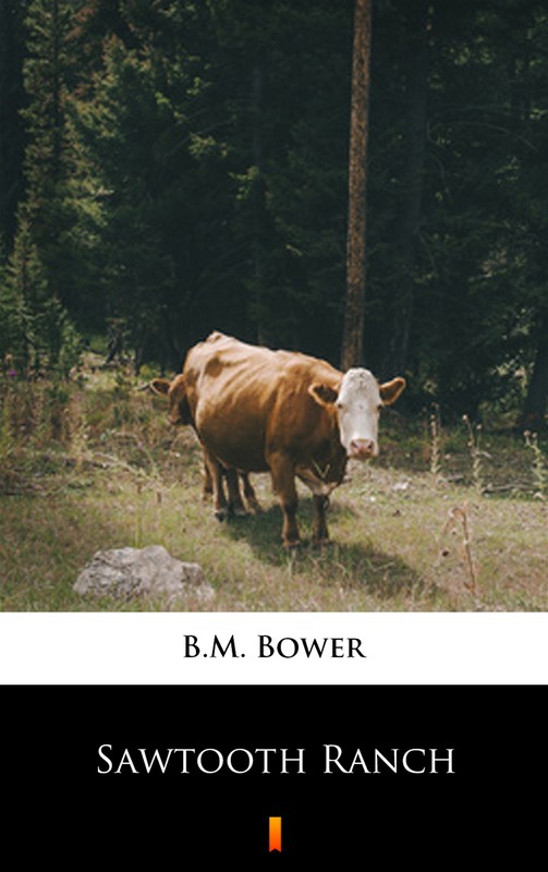 okładka Sawtooth Ranch ebook | epub, mobi | B.M. Bower
