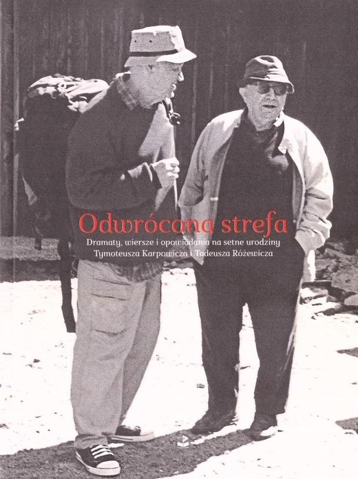 okładka Odwrócona strefa książka