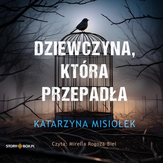 okładka Dziewczyna, która przepadła audiobook | MP3 | Katarzyna Misiołek