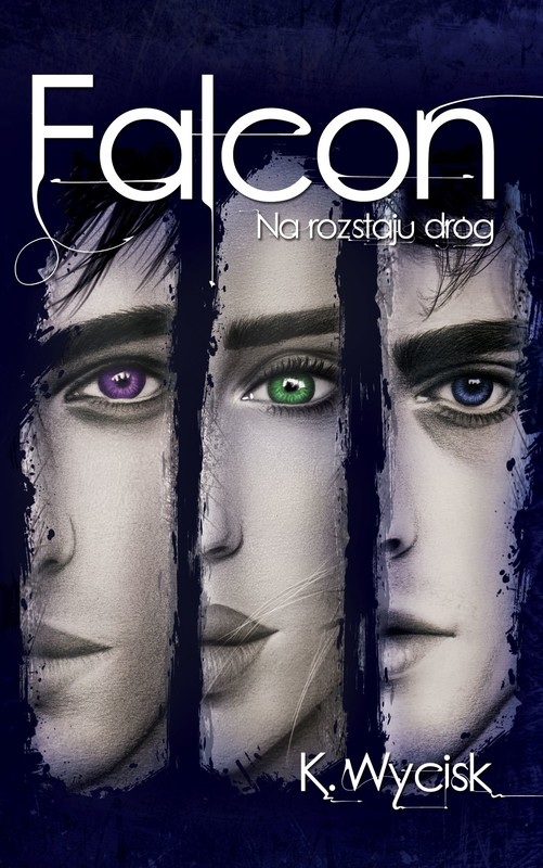 okładka Falcon II Na rozstaju dróg ebook | epub, mobi, pdf | Katarzyna Wycisk