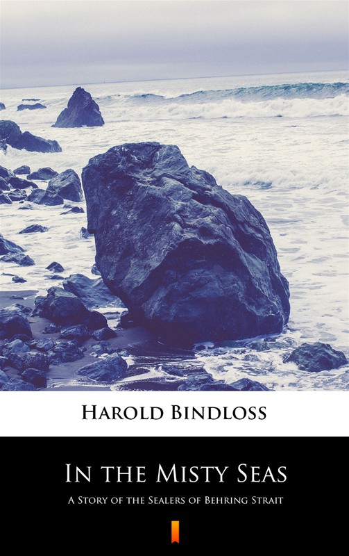 okładka In the Misty Seas ebook | epub, mobi | Harold Bindloss