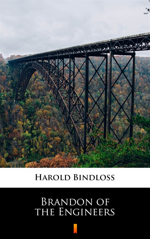 okładka Brandon of the Engineers ebook | epub, mobi | Harold Bindloss