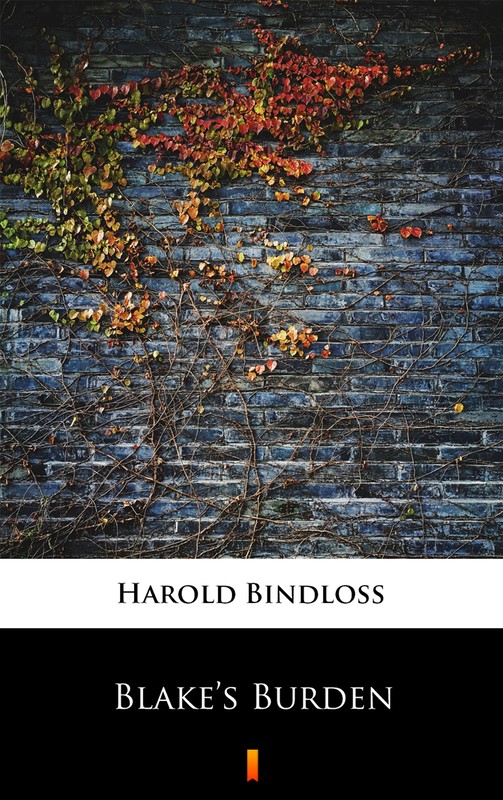 okładka Blake’s Burden ebook | epub, mobi | Harold Bindloss