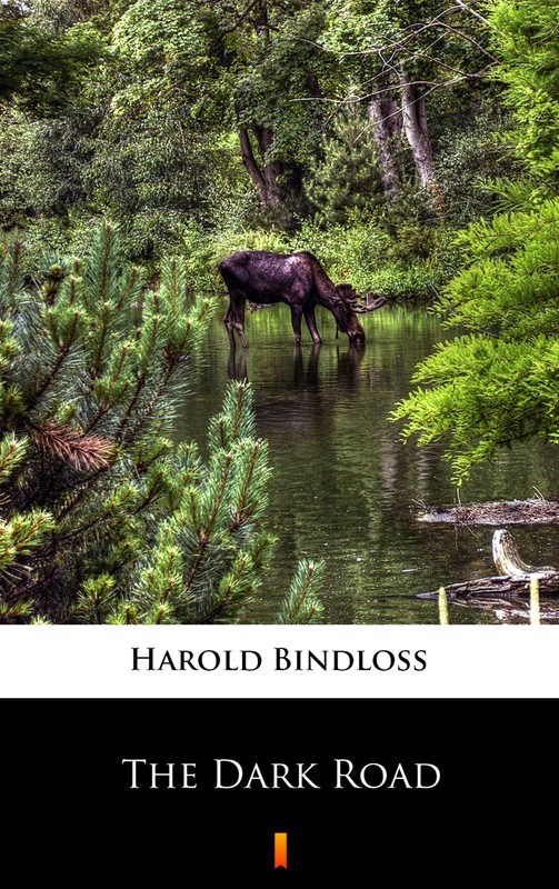 okładka The Dark Road ebook | epub, mobi | Harold Bindloss