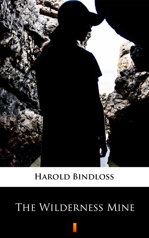 okładka The Wilderness Mine ebook | epub, mobi | Harold Bindloss