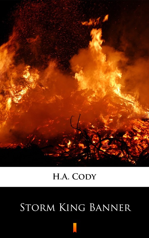 okładka Storm King Banner ebook | epub, mobi | H.A. Cody