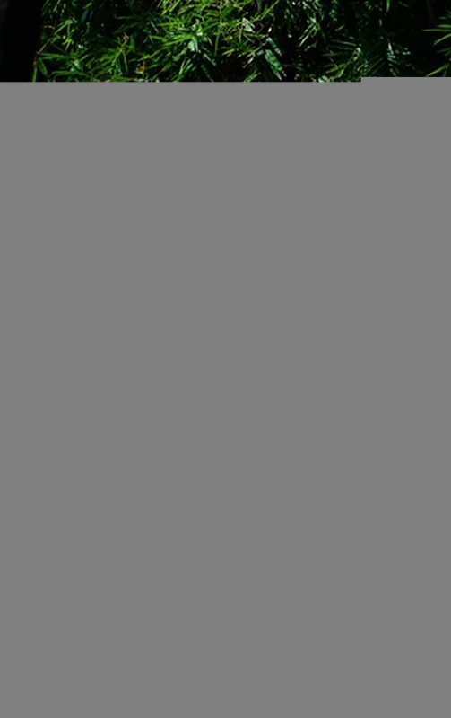 okładka Just So Stories ebook | epub, mobi | Rudyard Kipling