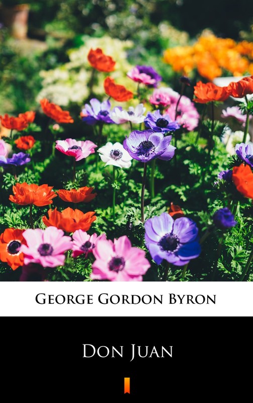 okładka Don Juan ebook | epub, mobi | George Gordon Byron