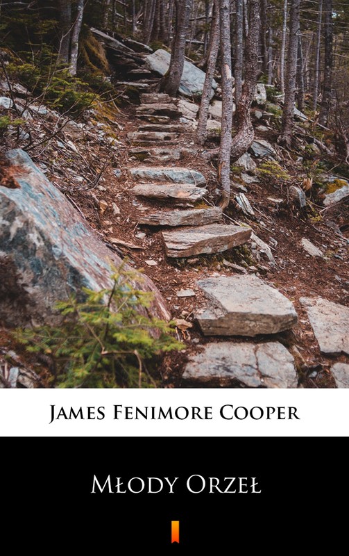 okładka Młody Orzeł ebook | epub, mobi | James Fenimore Cooper