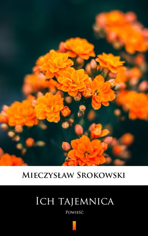 okładka Ich tajemnica ebook | epub, mobi | Mieczysław Srokowski