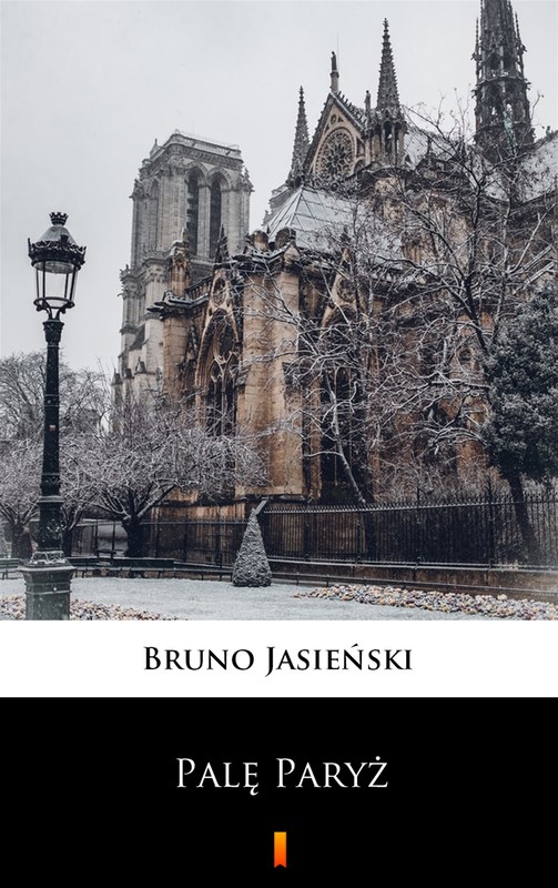 okładka Palę Paryż ebook | epub, mobi | Bruno Jasieński