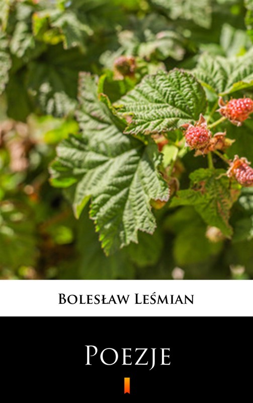 okładka Poezje ebook | epub, mobi | Bolesław Leśmian