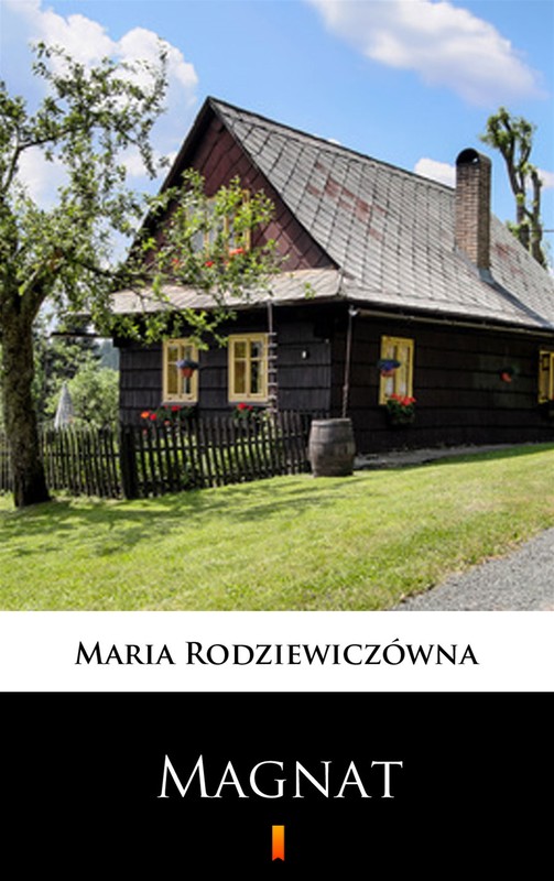 okładka Magnat ebook | epub, mobi | Maria Rodziewiczówna