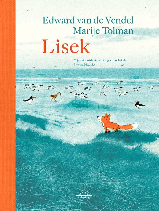 okładka Lisek książka