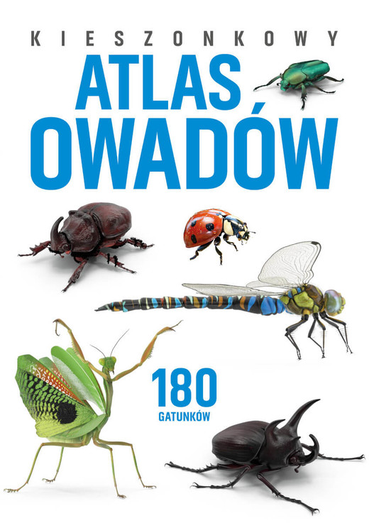 okładka Kieszonkowy atlas owadów. 180 gatunków książka