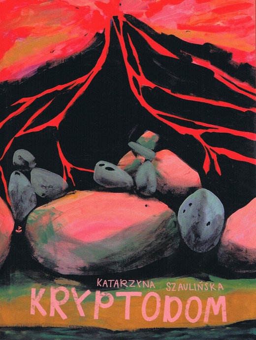 okładka Kryptodom książka | Szaulińska Katarzyna