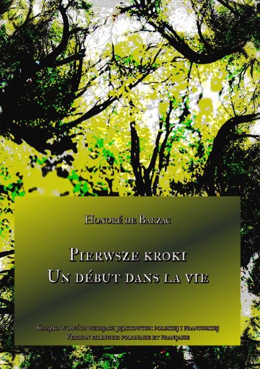 okładka Pierwsze kroki. Un début dans la vie ebook | epub, mobi | Honoré de Balzac