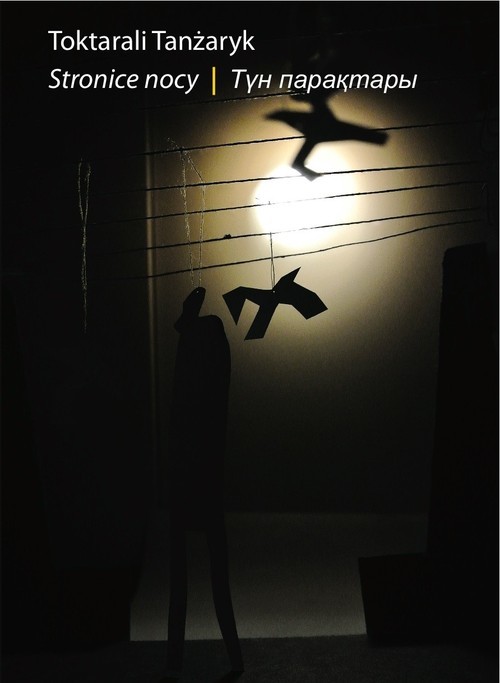 okładka Stronice nocy książka