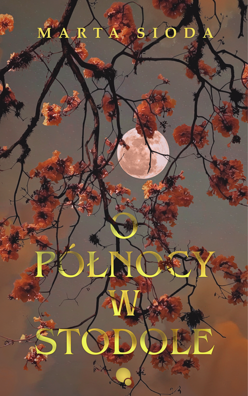 okładka O północy w stodole ebook | epub, mobi, pdf | Marta Sioda