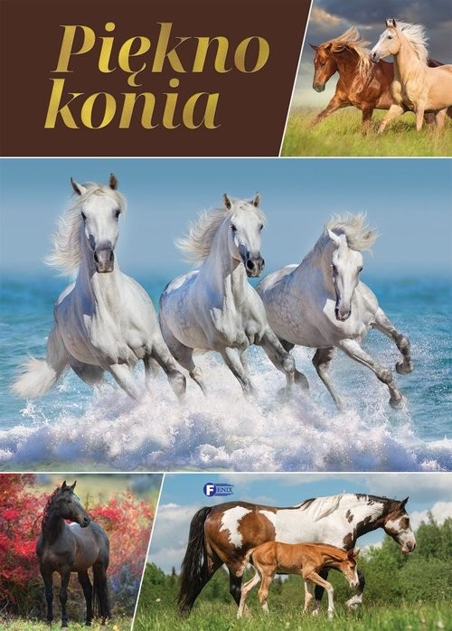 okładka Piękno konia książka