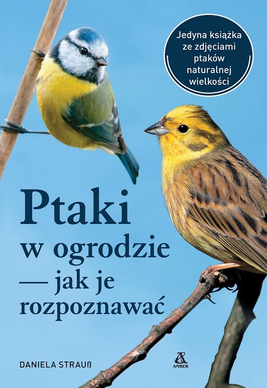 okładka Ptaki w ogrodzie — jak je rozpoznawać wyd. 2024 książka