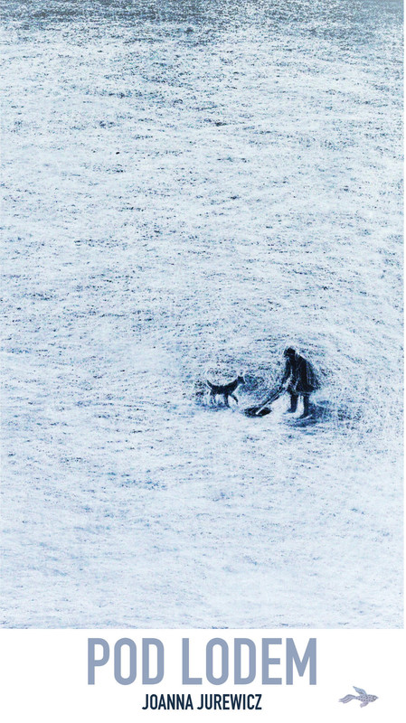 okładka Pod lodem ebook | epub, mobi | Joanna Jurewicz
