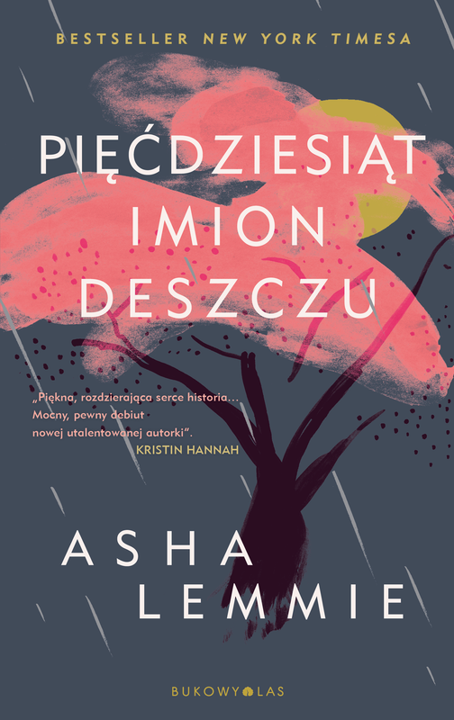 okładka Pięćdziesiąt imion deszczu ebook | epub, mobi | Asha Lemmie