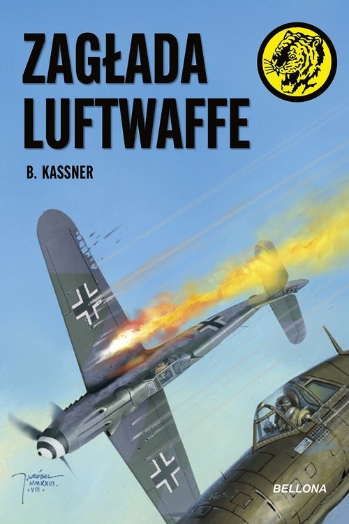 okładka Zagłada Luftwaffe książka