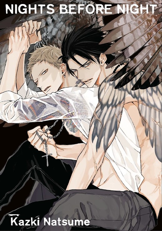 okładka Nights Before Night książka