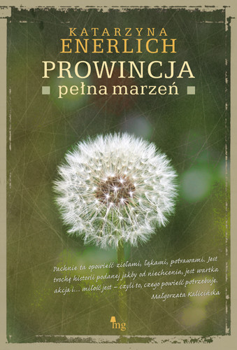okładka Prowincja pełna marzeń ebook | epub, mobi | Katarzyna Enerlich