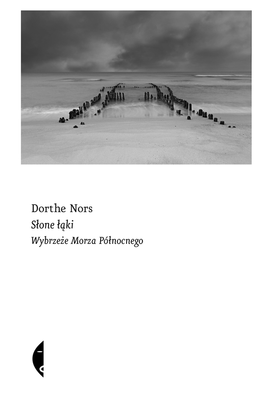 okładka Słone łąki ebook | epub, mobi | Dorthe Nors