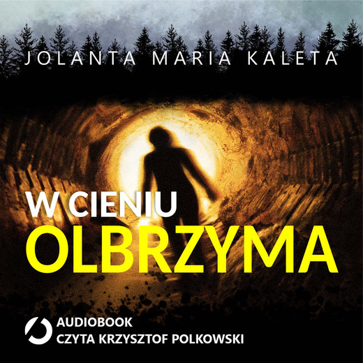 okładka W cieniu Olbrzyma audiobook | MP3 | Jolanta Maria Kaleta