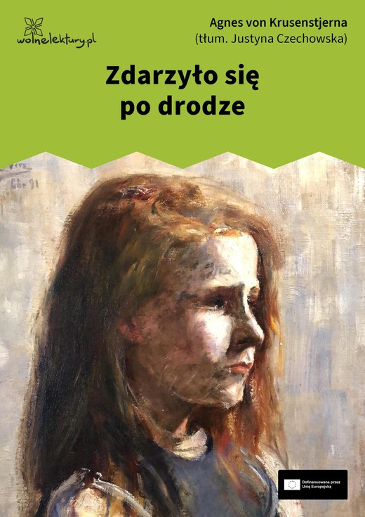 okładka Zdarzyło się po drodze ebook | epub, mobi | Agnes von Krusenstjerna