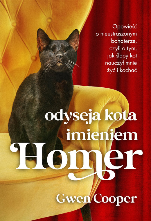 okładka Odyseja kota imieniem Homer ebook | epub, mobi | Gwen Cooper