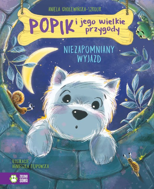 okładka Niezapomniany wyjazd. Popik i jego wielkie przygody książka