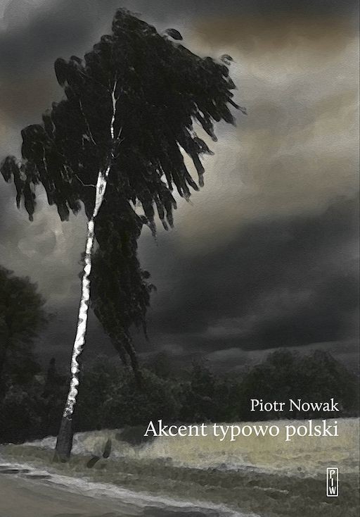 okładka Akcent typowo polski. Szkice o kulturze Polaków książka