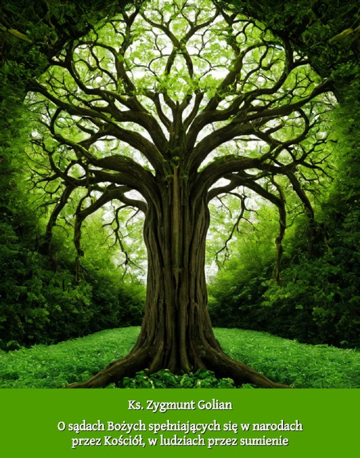 okładka O sądach Bożych spełniających się w narodach przez Kościół, w ludziach przez sumienie ebook | epub, mobi | Ks. Zygmunt Golian