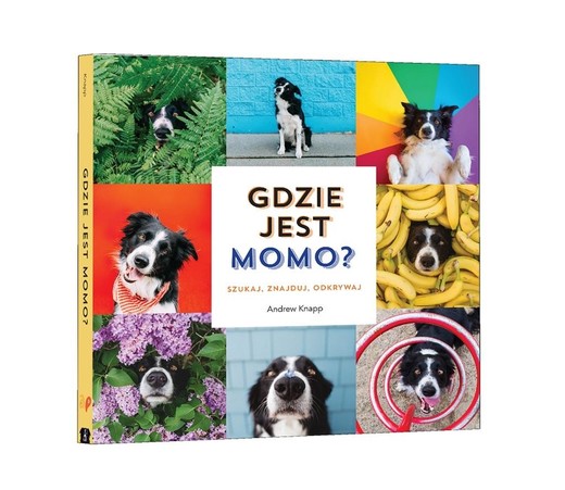 okładka Gdzie jest Momo? książka