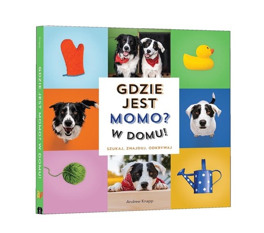 okładka Gdzie jest Momo? W domu! książka