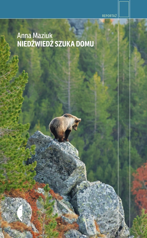 okładka Niedźwiedź szuka domu książka | Anna Maziuk