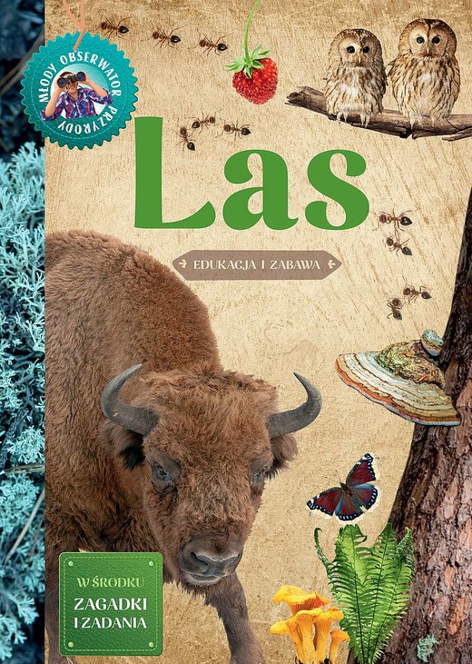 okładka Las. Młody Obserwator Przyrody książka | Hanna Będkowska