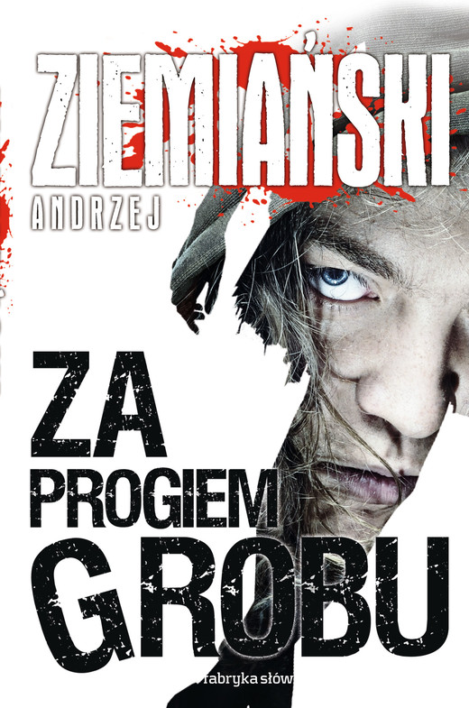 okładka Za progiem grobu ebook | epub, mobi | Andrzej Ziemiański